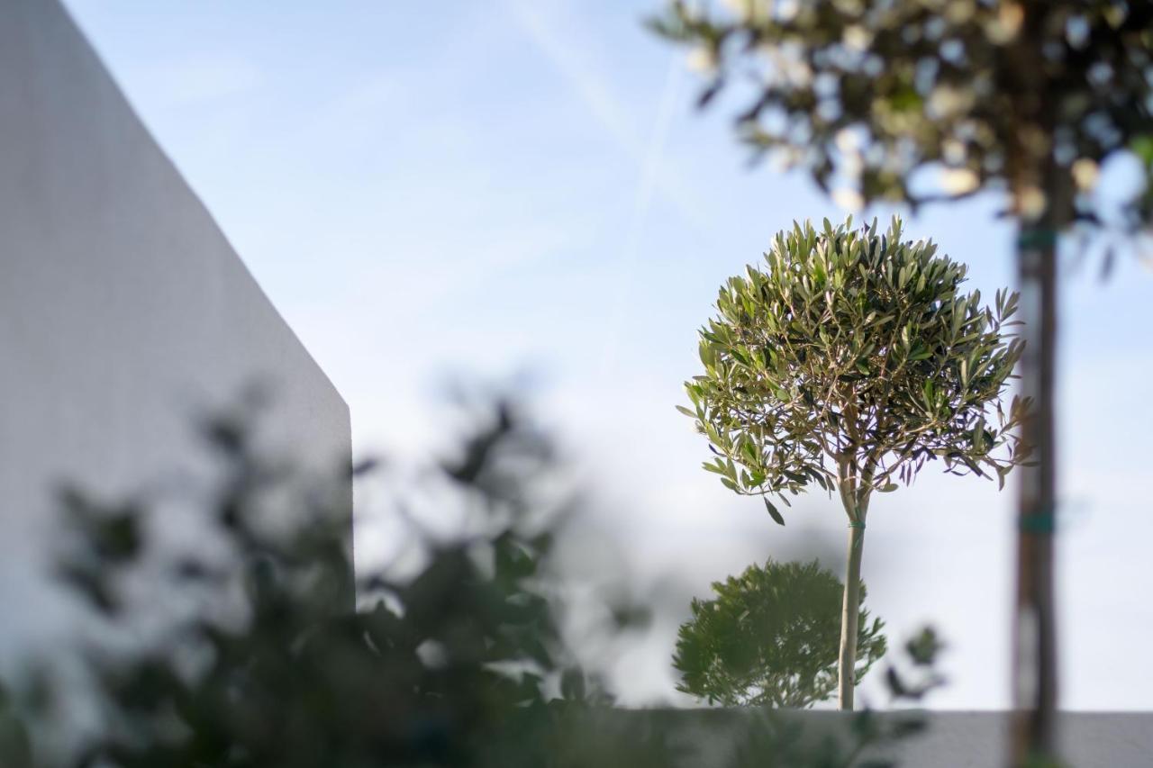 Potnia Theron Suites Akrotiri  Bagian luar foto